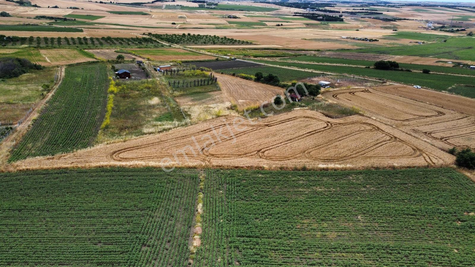 Silivri Fenerköyde Tek Tapu Yüksek Konumda 2130m2 Satılık Tarla - Görsel 15