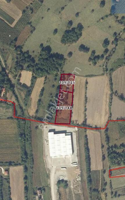 Düzce Çilimli'de Sanayii Arsalarının Yanında 6485m² Satılık Tarla! - Görsel 20
