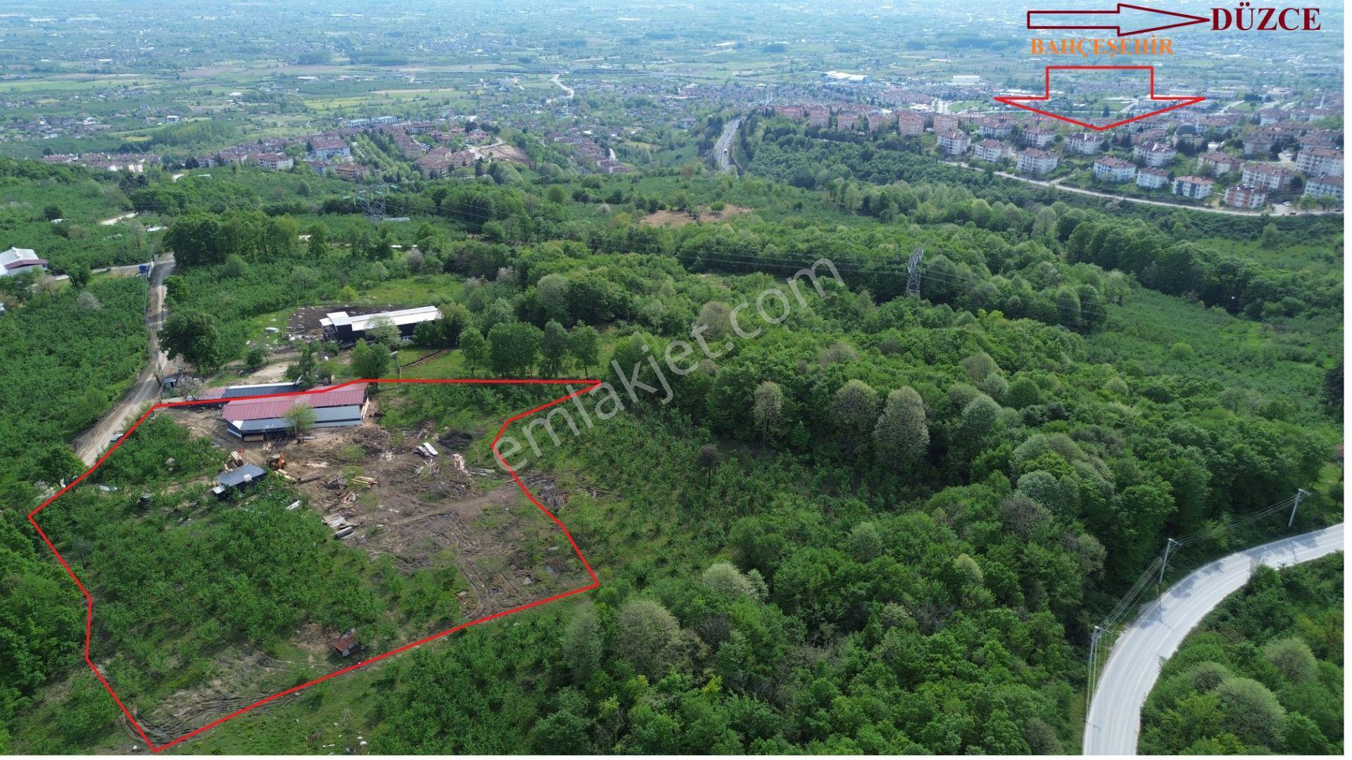 Düzce Merkez Sallar'da, İmara Yakın, Yatırımlık Fındık Bahçesi - Görsel 6