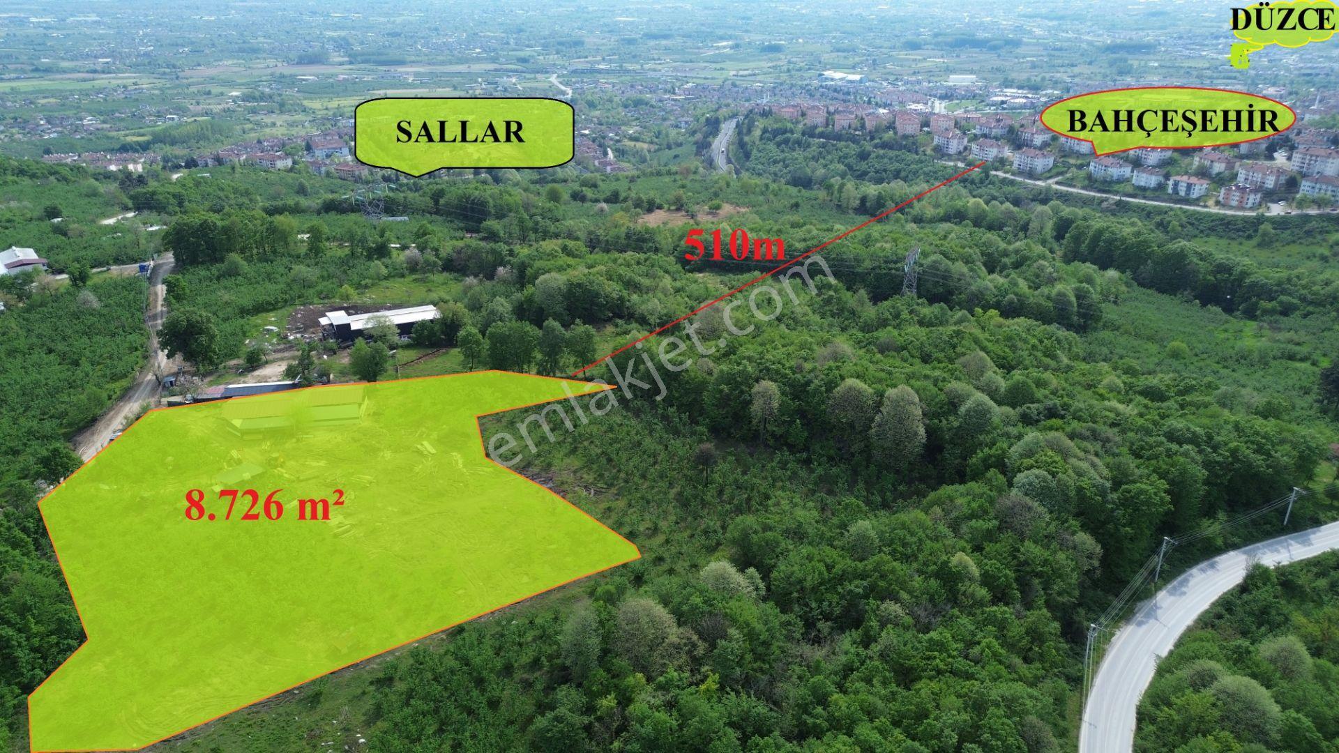 Düzce Merkez Sallar'da, İmara Yakın, Yatırımlık Fındık Bahçesi - Görsel 2