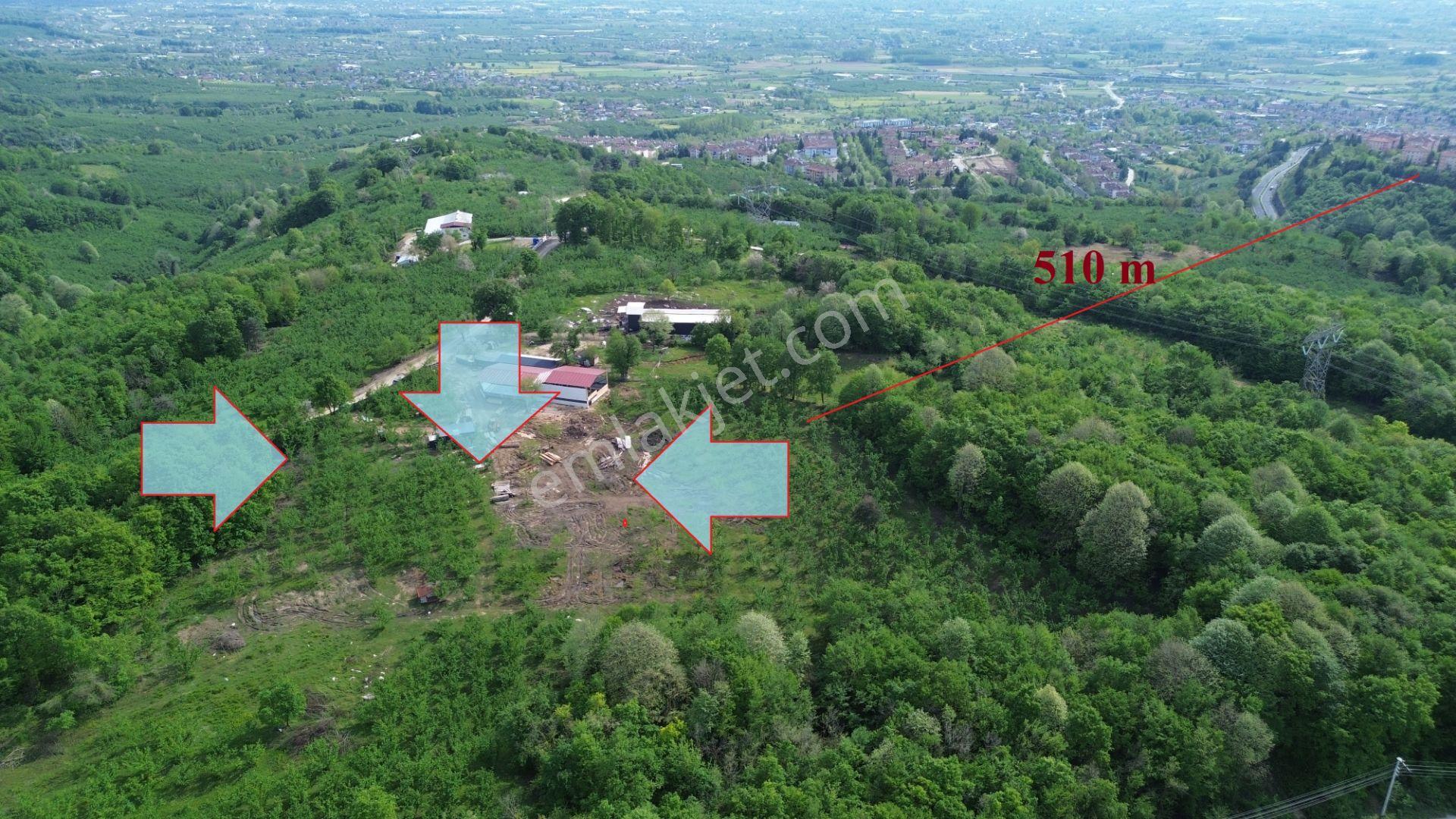 Düzce Merkez Sallar'da, İmara Yakın, Yatırımlık Fındık Bahçesi - Görsel 9