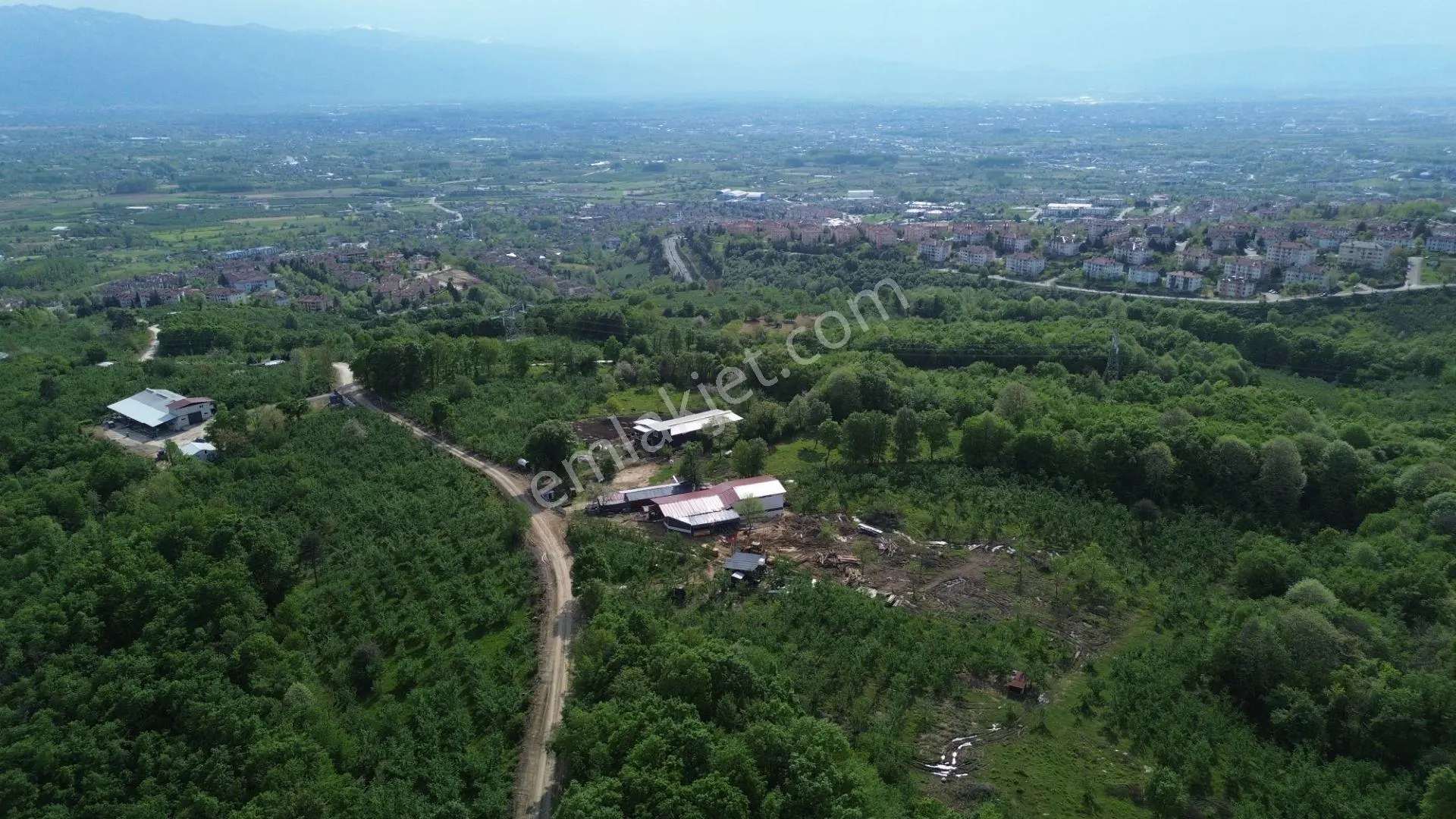 Düzce Merkez Sallar'da, İmara Yakın, Yatırımlık Fındık Bahçesi