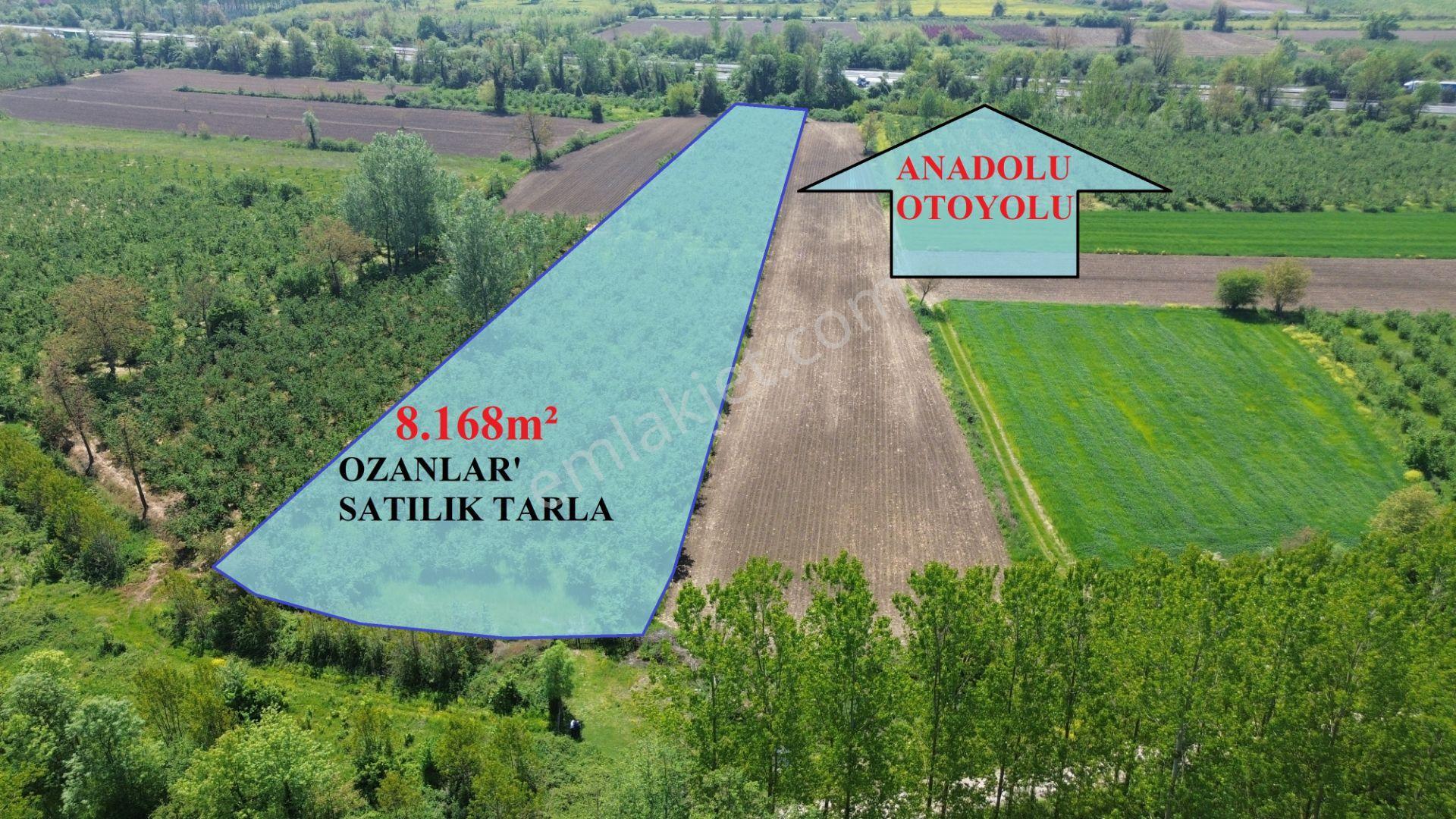 Düzce Merkez Ozanlar'da İmara Yakın, Yatırımlık Fındık Bahçesi - Görsel 5