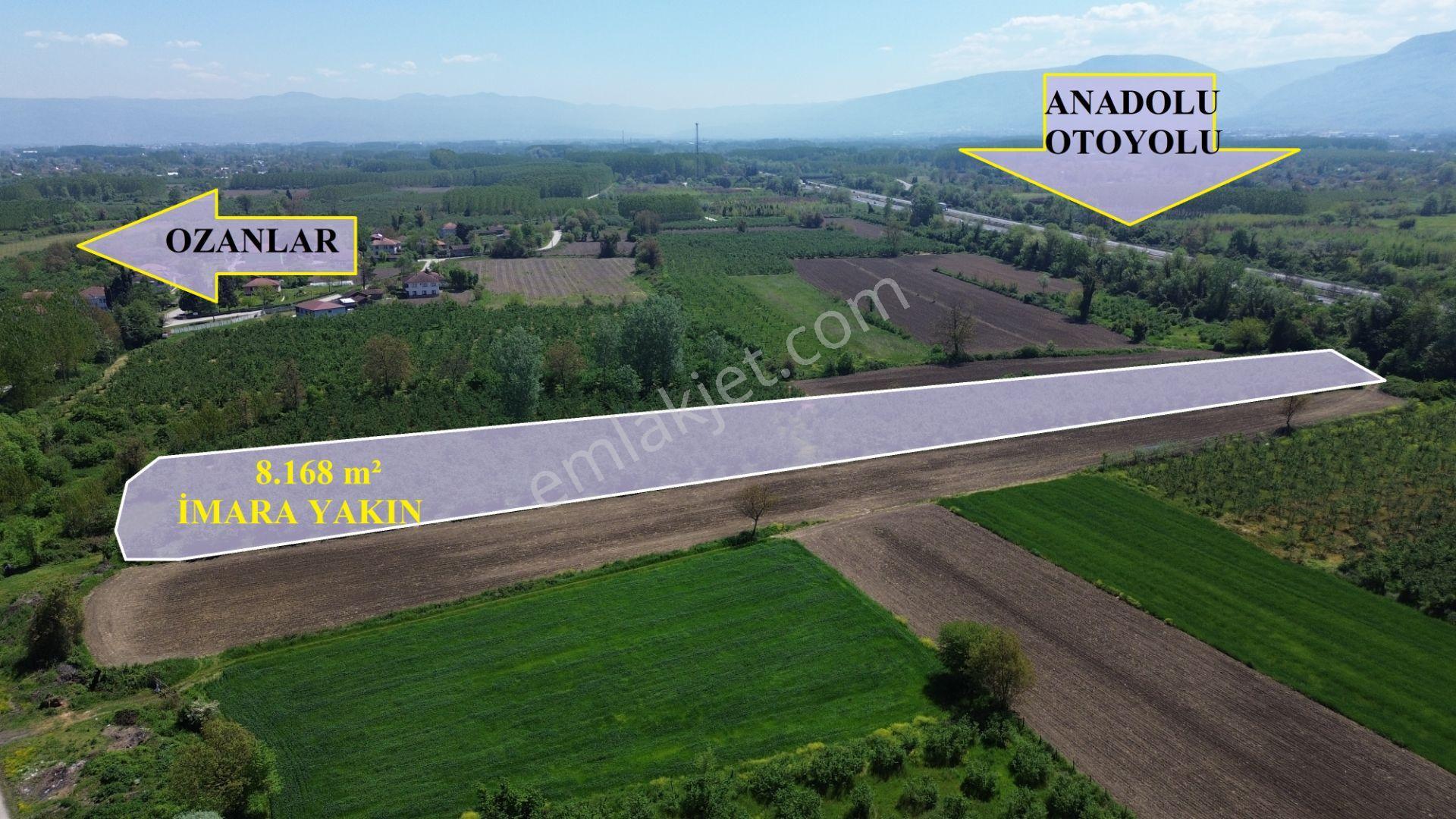 Düzce Merkez Ozanlar'da İmara Yakın, Yatırımlık Fındık Bahçesi - Görsel 3