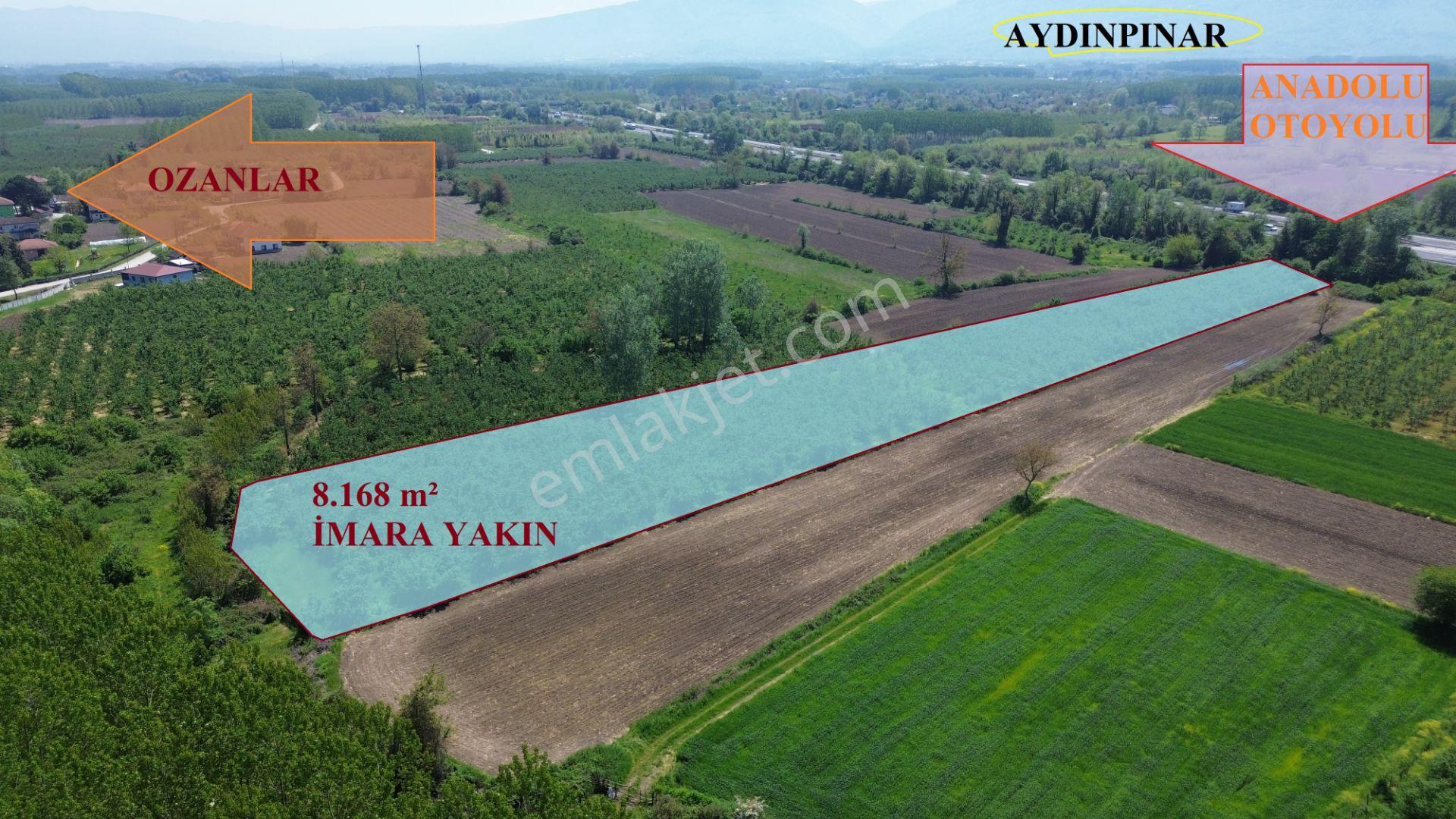 Düzce Merkez Ozanlar'da İmara Yakın, Yatırımlık Fındık Bahçesi - Görsel 8