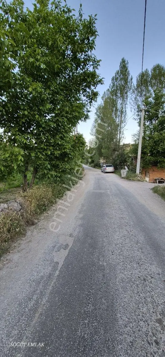 Söğüt Emlak'tan Satılık Bahçe