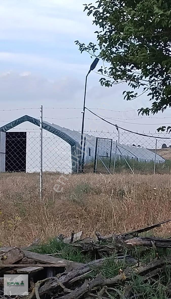 Epa Emre Koç'tan Hazır Kurulu Çiftlik Full Donanım Köyün Dibinde - Görsel 9