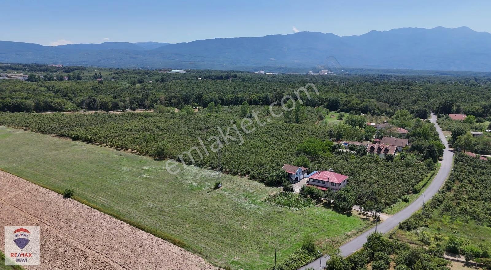Akova Da 3034 M² Satılık 3 Kat Konut İmarlı Arsa - Görsel 11