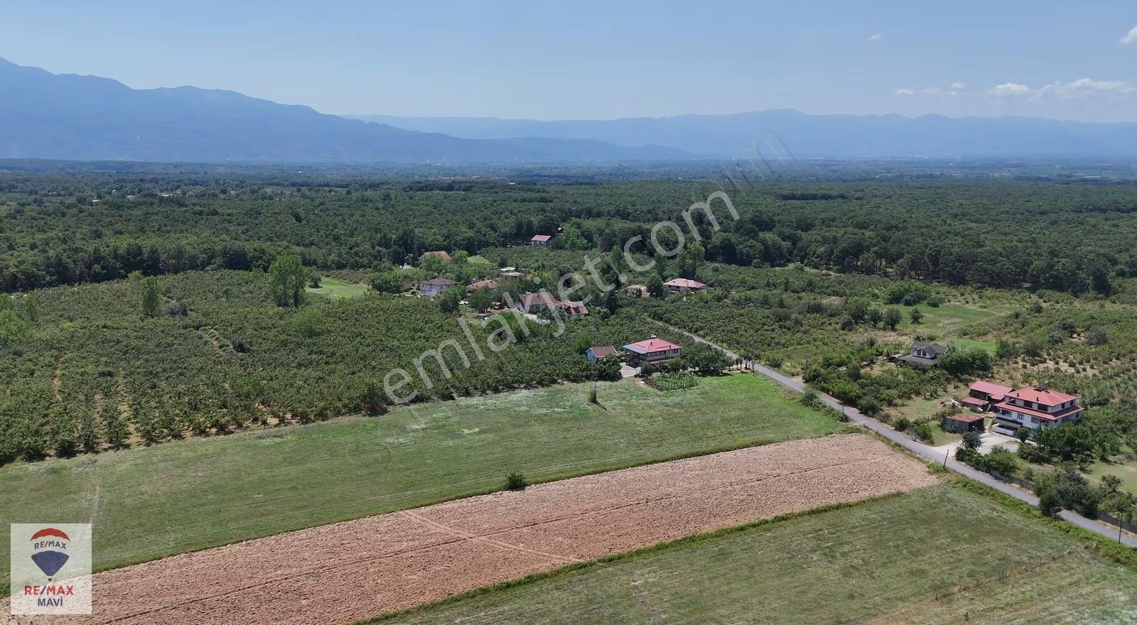 Akova Da 3034 M² Satılık 3 Kat Konut İmarlı Arsa - Görsel 3