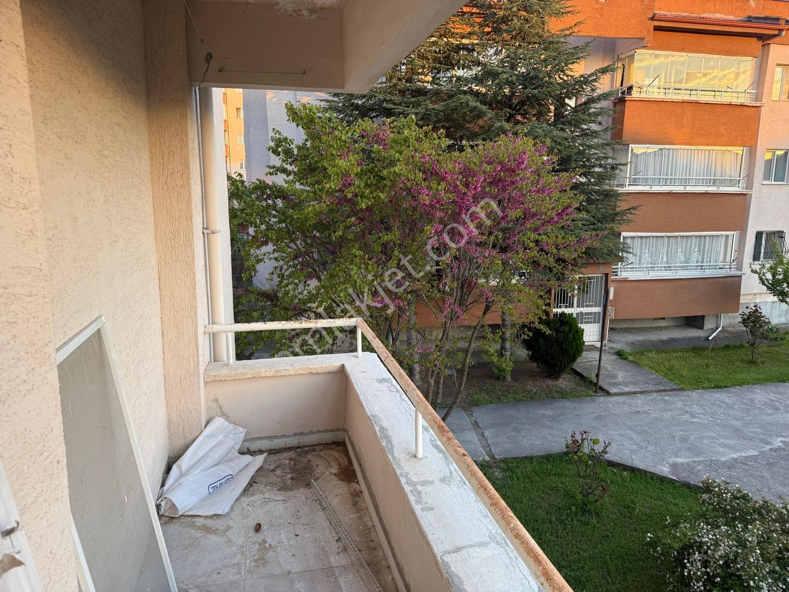 Shibinden Sıfır Yapılı Arakat - Görsel 14