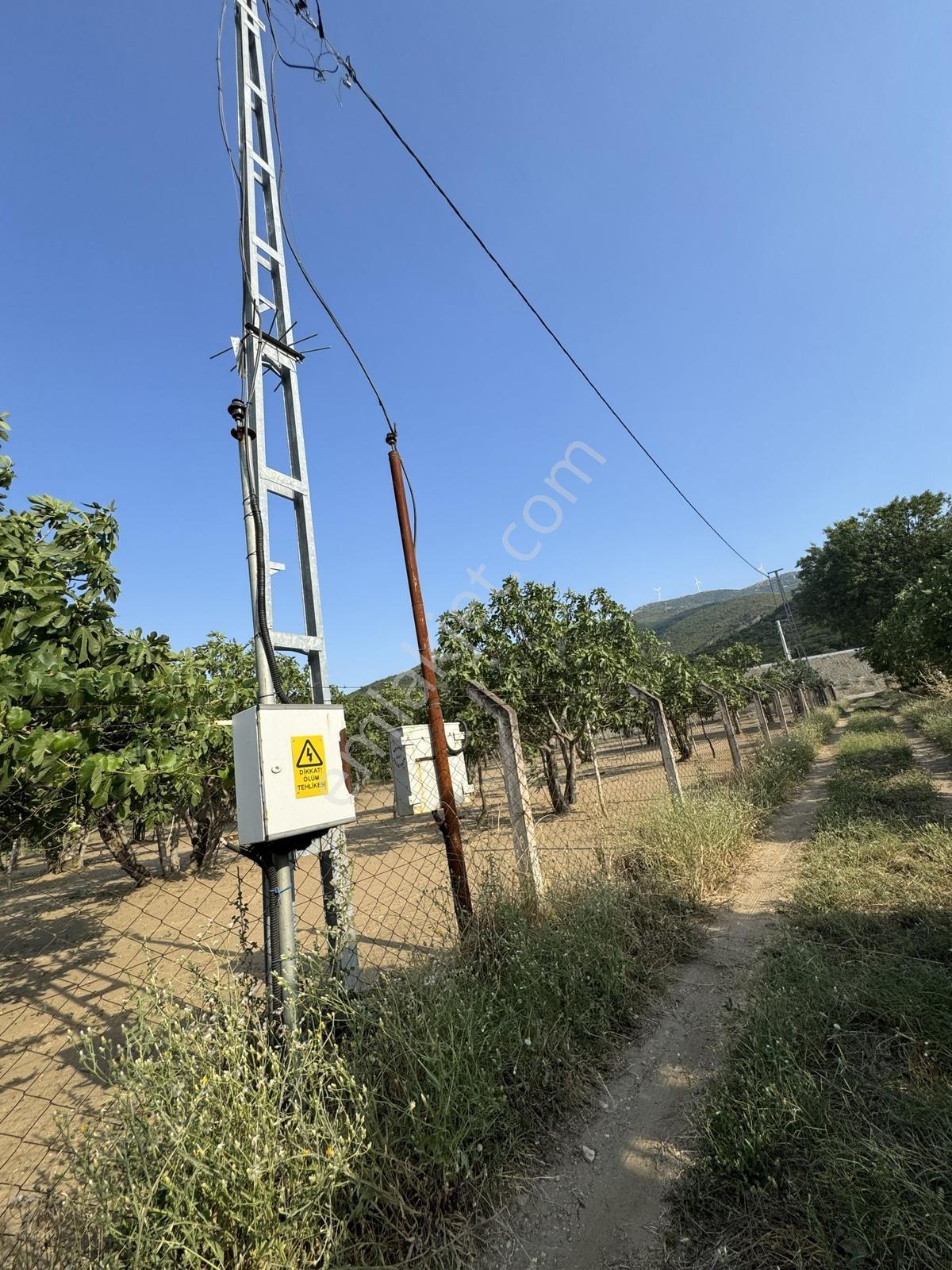 Tire'ye Yakın Selçuk Yolunda Satılık Elektrik Suyu Olan Tarla - Görsel 3