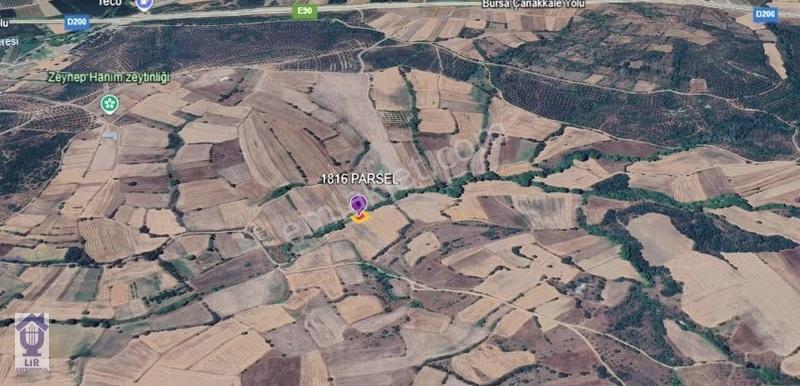 Lir Den Çanakkale Biga Çelikgürü De Satılık 400 Metre Tarla - Görsel 3