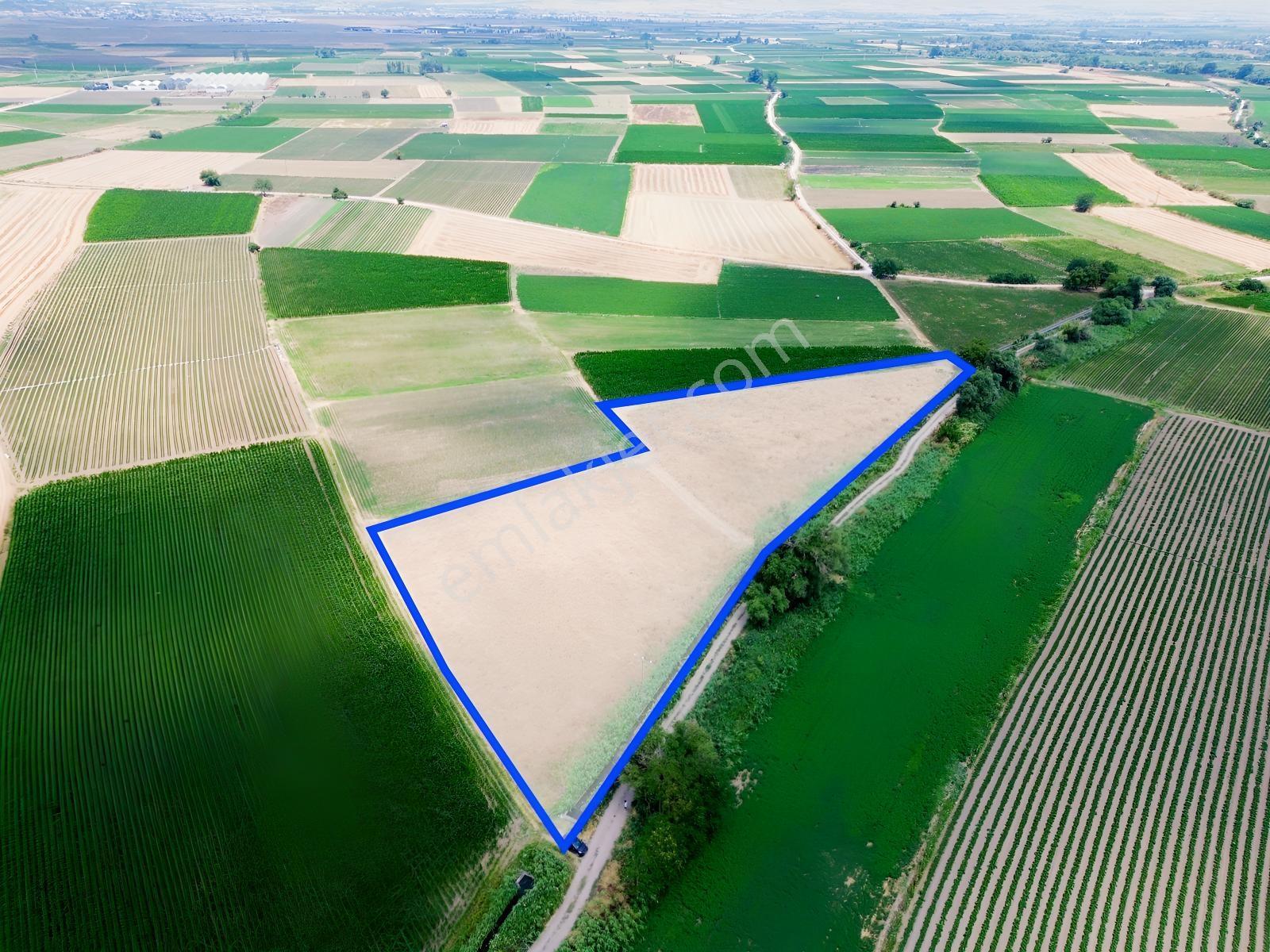 Halalca Mahallesi Kadastral Yola Cepheli 9916m2 Yatırımlık Tarla - Görsel 5