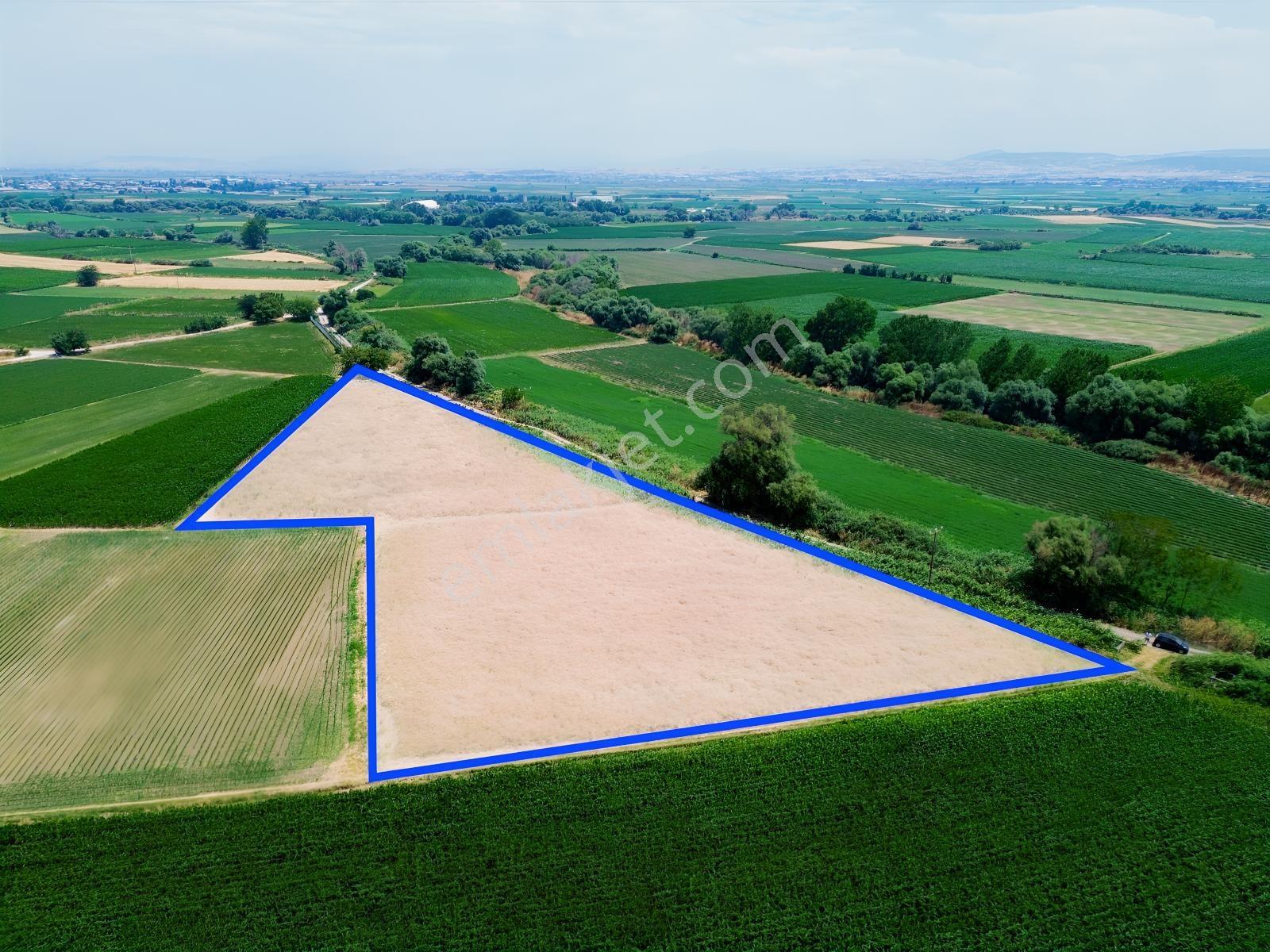 Halalca Mahallesi Kadastral Yola Cepheli 9916m2 Yatırımlık Tarla - Görsel 8
