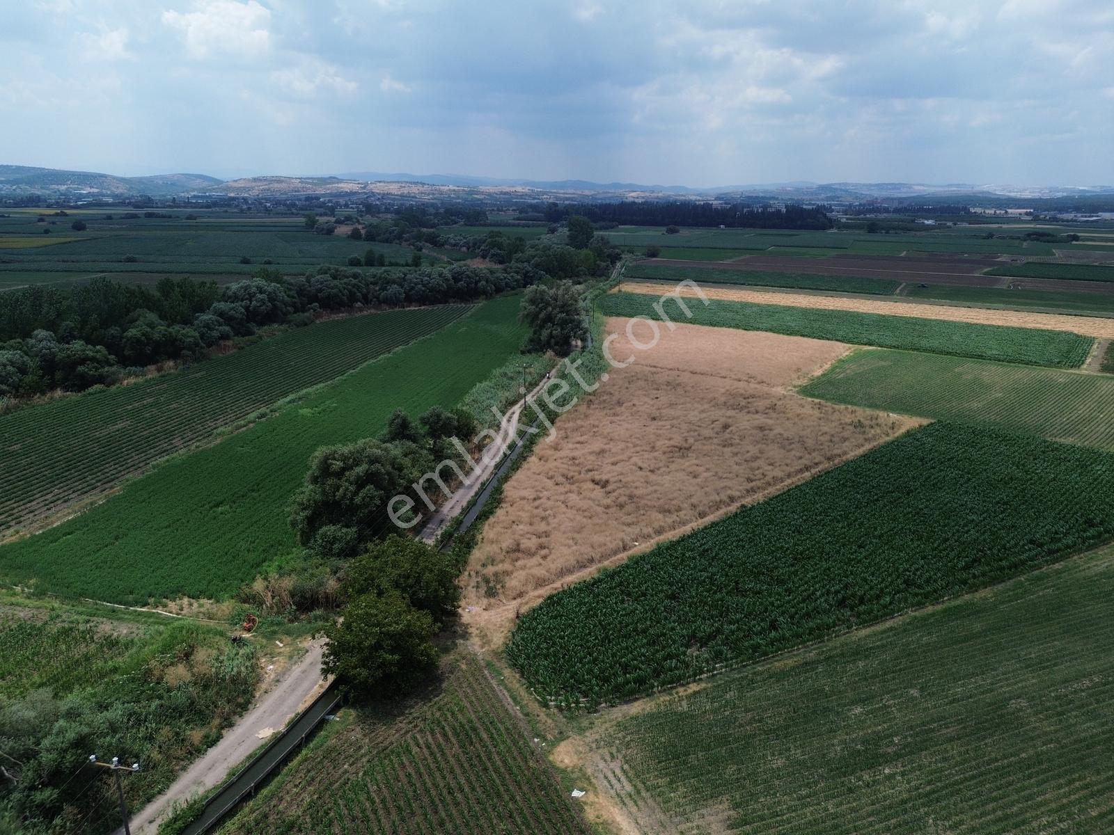 Halalca Mahallesi Kadastral Yola Cepheli 9916m2 Yatırımlık Tarla - Görsel 3
