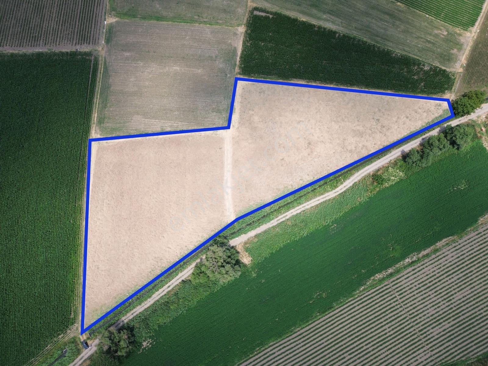 Halalca Mahallesi Kadastral Yola Cepheli 9916m2 Yatırımlık Tarla - Görsel 6