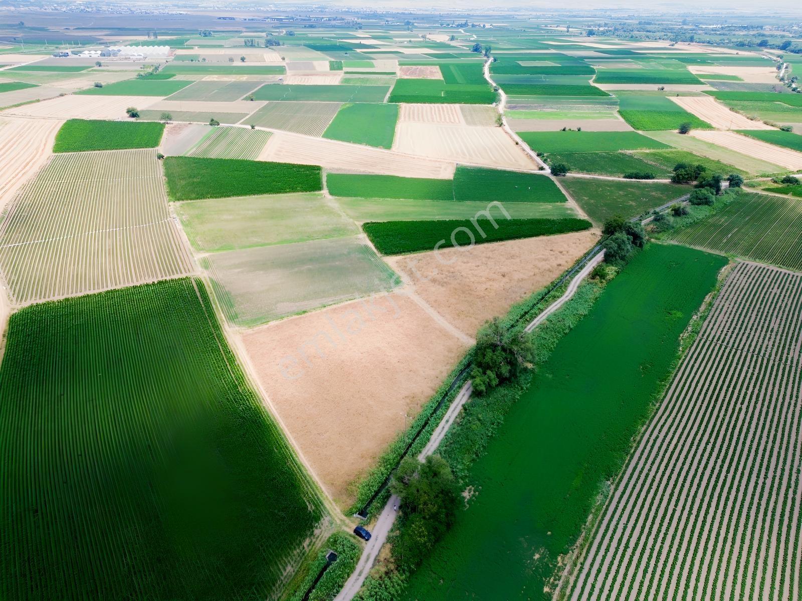 Halalca Mahallesi Kadastral Yola Cepheli 9916m2 Yatırımlık Tarla - Görsel 10
