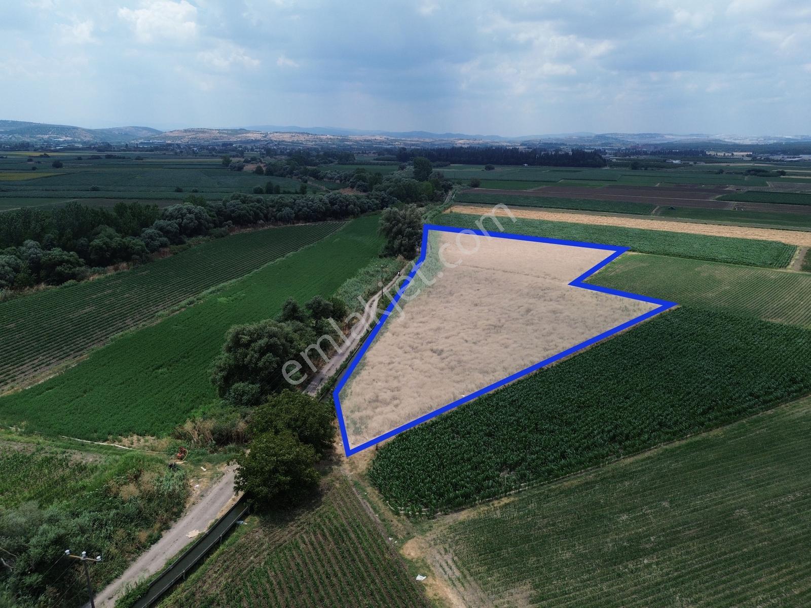 Halalca Mahallesi Kadastral Yola Cepheli 9916m2 Yatırımlık Tarla - Görsel 4