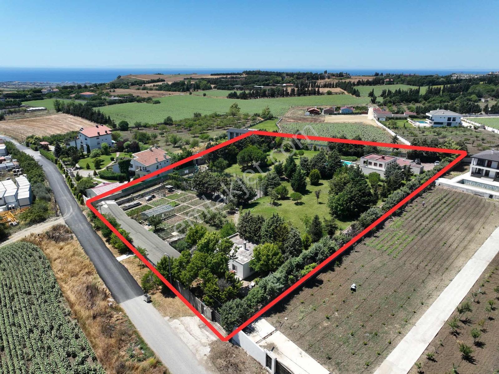 Çatalca Da 9 Dönüm Prestijli Eşsiz Havuzlu Villa - Görsel 4