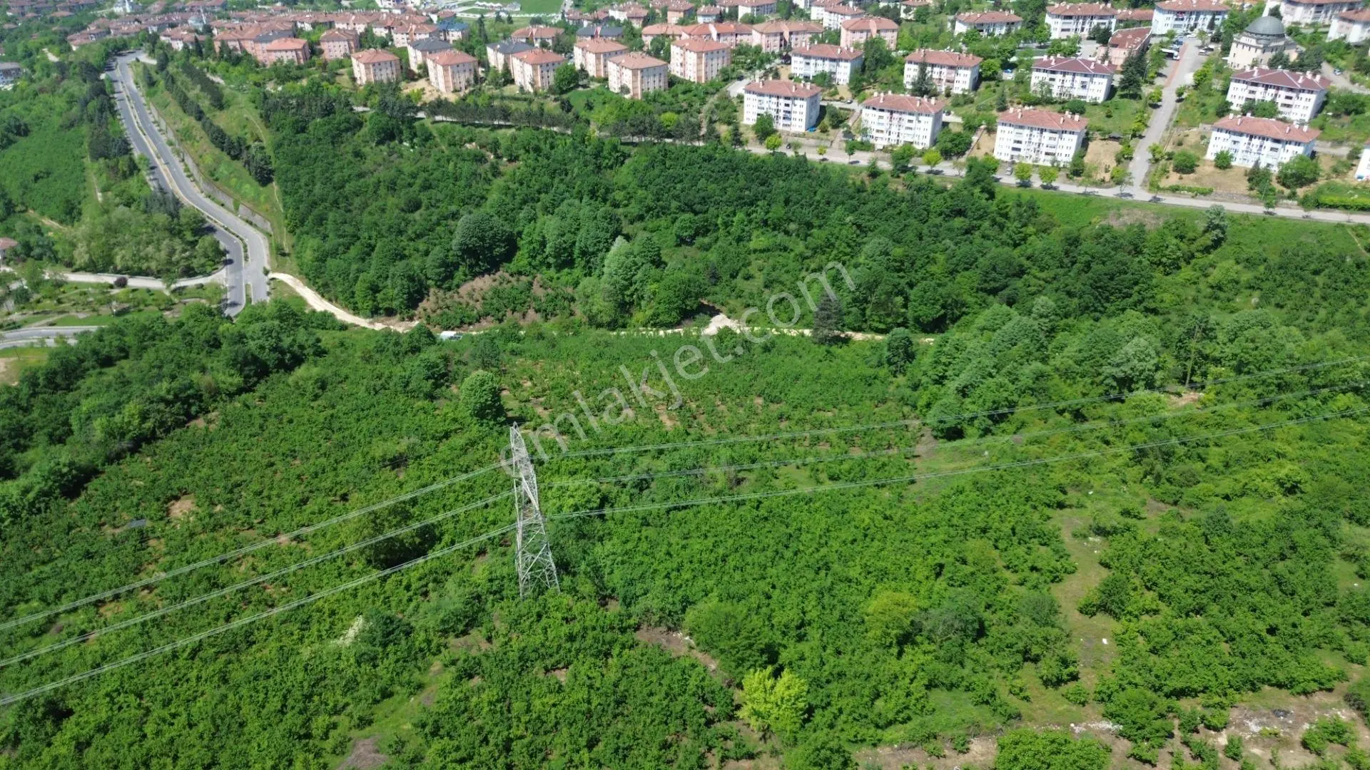 Düzce Sallarda İmar Yanında Yolu Olan Yatırımlık Fırsat Arsa - Görsel 4