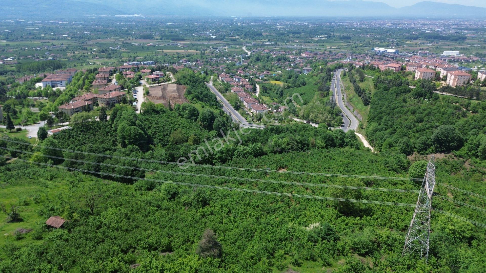 Düzce Sallarda İmar Yanında Yolu Olan Yatırımlık Fırsat Arsa - Görsel 17