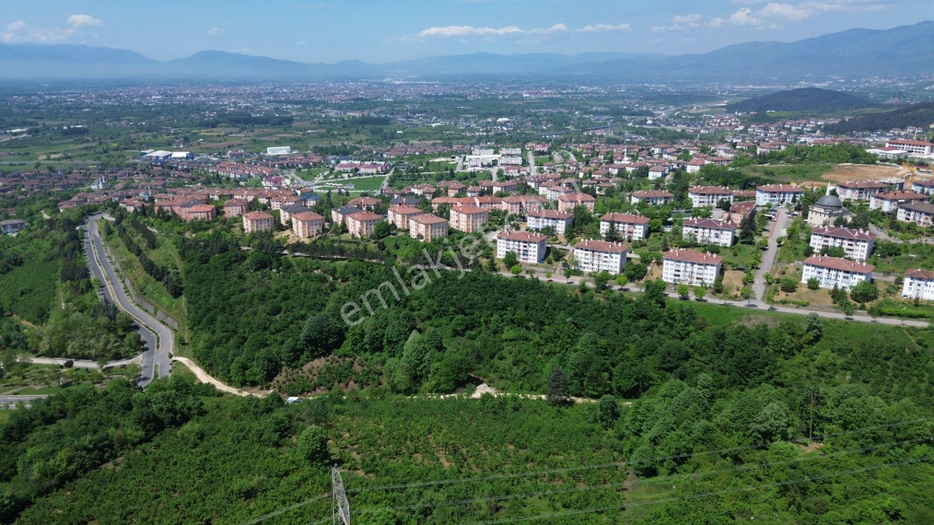 Düzce Sallarda İmar Yanında Yolu Olan Yatırımlık Fırsat Arsa - Görsel 13