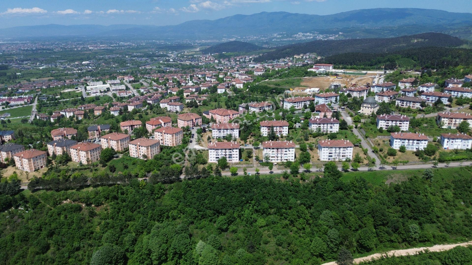 Düzce Sallarda İmar Yanında Yolu Olan Yatırımlık Fırsat Arsa