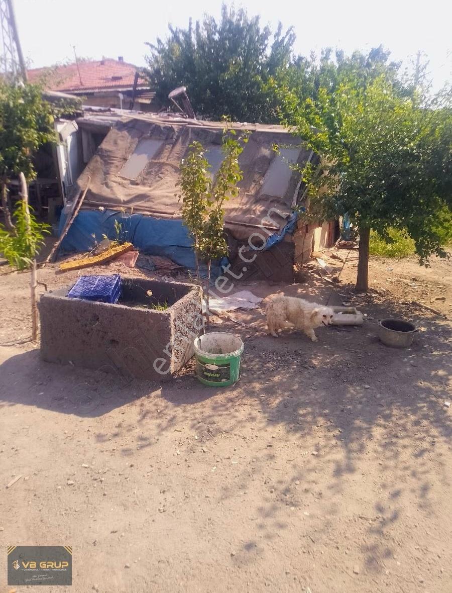 Bahçe Ve Mini Ciftlik Sevenlere. - Görsel 14