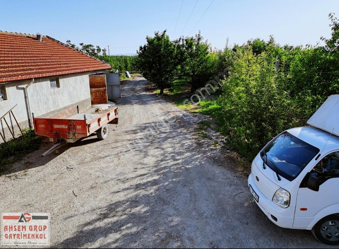 Sultandağında 35 Dönüm Müstakil Evi Olan Meyve Bahçesi - Görsel 4