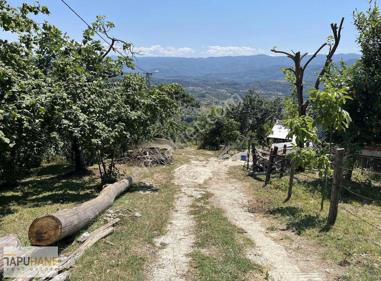 Tapuhaneden Akyazı Merkezyeniköy Satılık Müstakil Ev Ve Arsası - Görsel 6