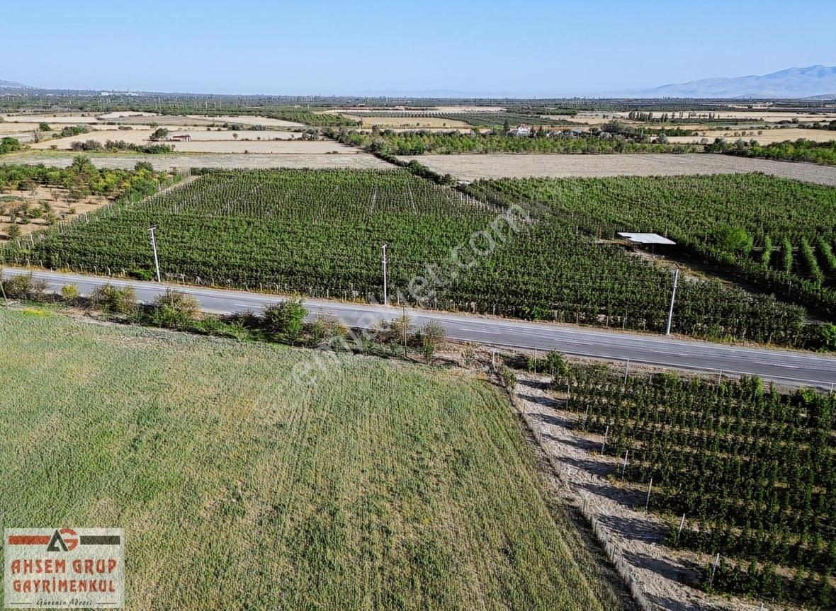 Pazaraltında 24.469 M2 Komple Yol Cepheli Devasa Meyve Bahçesi - Görsel 20