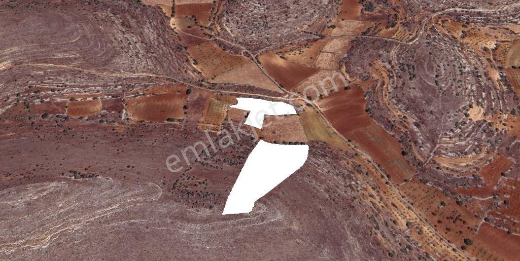 SATILIK 2 TANE BAĞ 12149 METREKARE - Görünüm 3