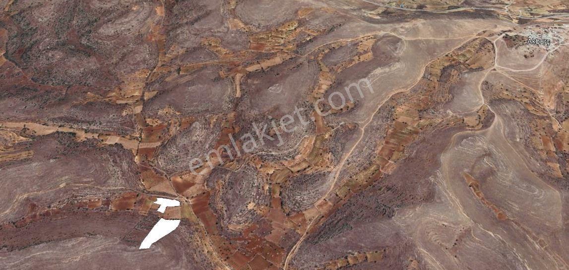 SATILIK 2 TANE BAĞ 12149 METREKARE - Daha fazla