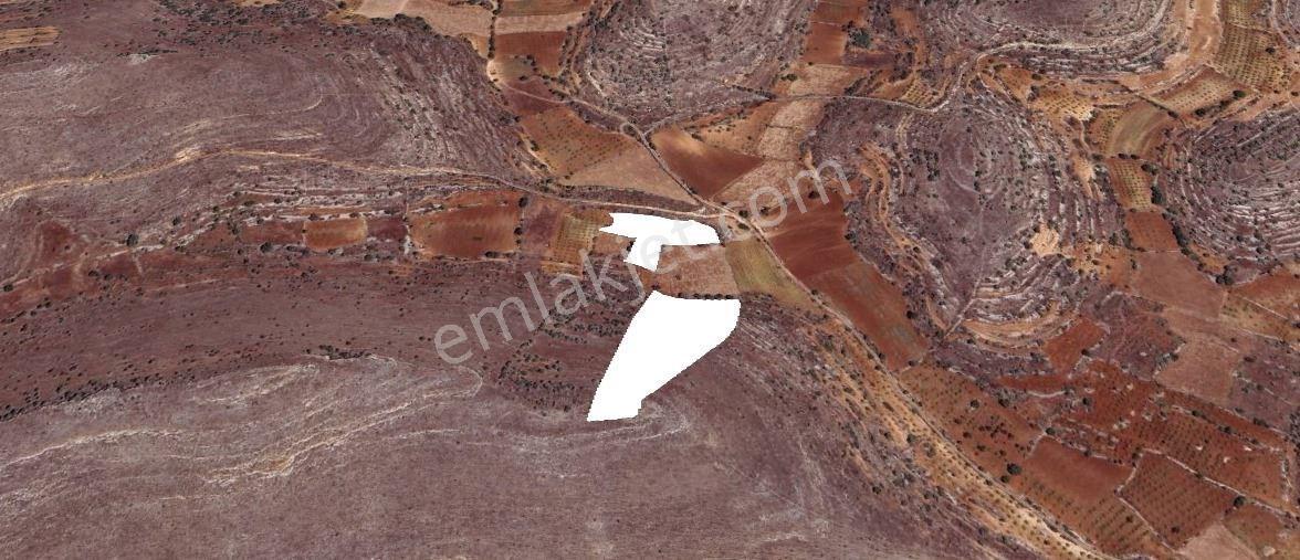 SATILIK 2 TANE BAĞ 12149 METREKARE - Görünüm 2