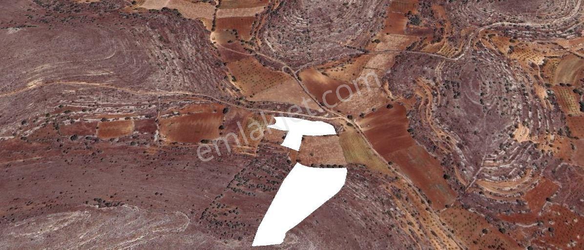 SATILIK 2 TANE BAĞ 12149 METREKARE - Görünüm 4