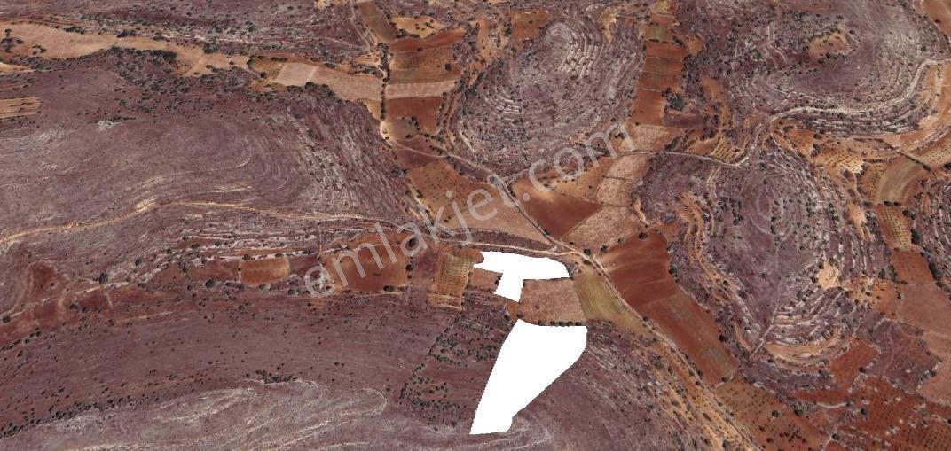 SATILIK 2 TANE BAĞ 12149 METREKARE - Görünüm 5