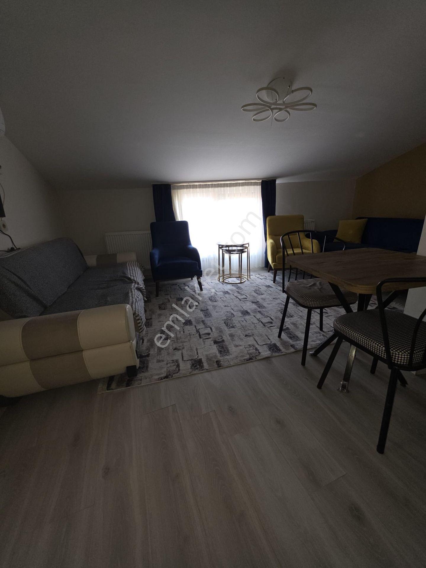 Paü Kampüs Yakını Kiralık 1+1 Apart - Görsel 8