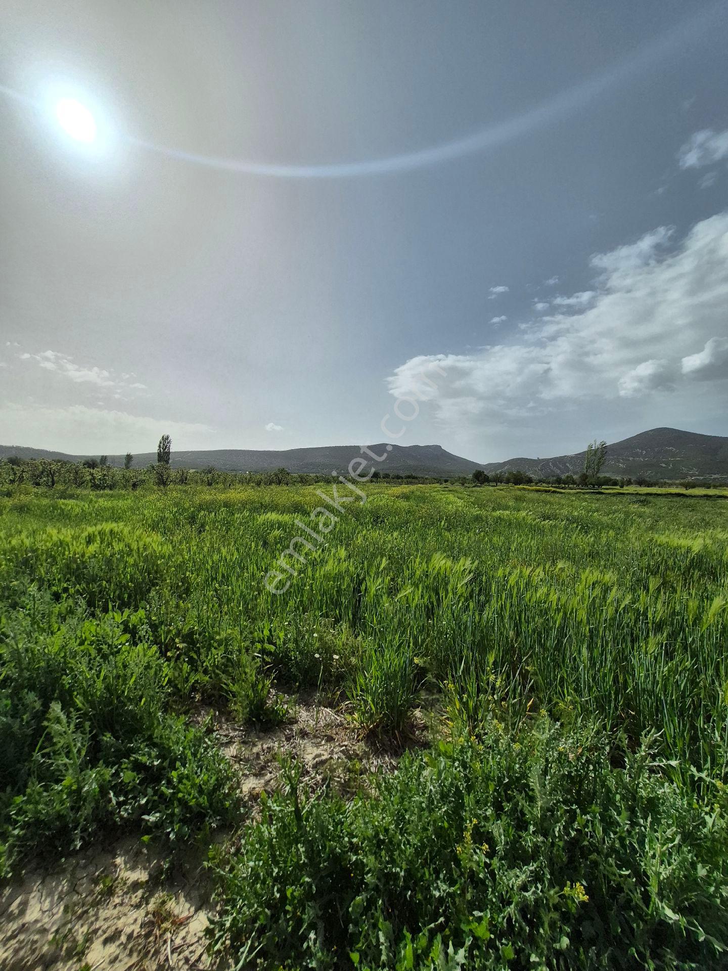 🌿 ISPARTA GÖNEN İĞDECİK'TE FIRSAT ARAZİ! 🌿 - Görünüm 3