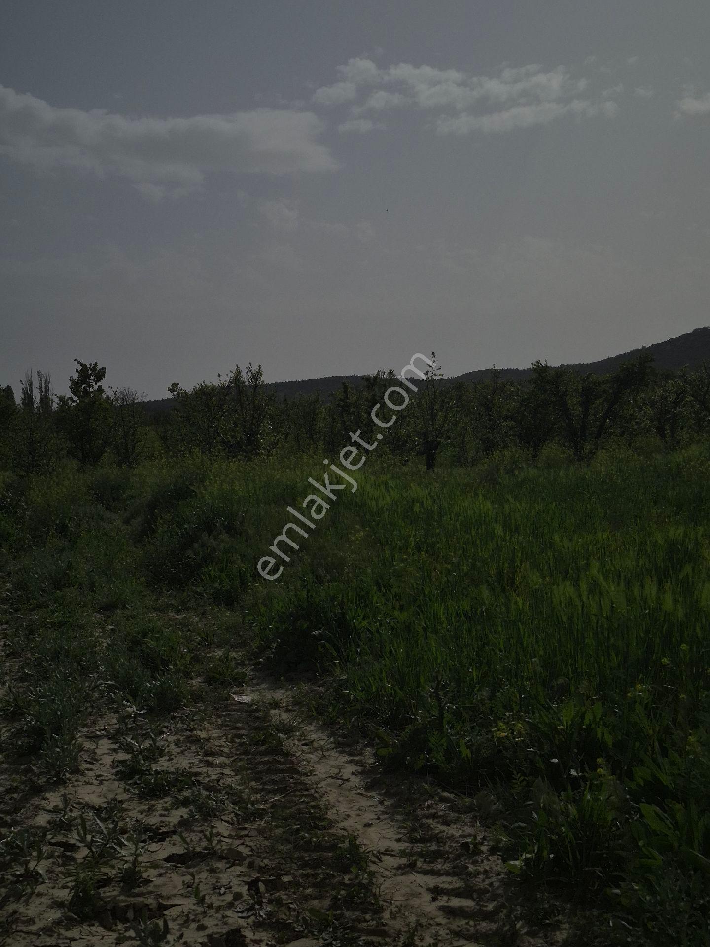 🌿 ISPARTA GÖNEN İĞDECİK'TE FIRSAT ARAZİ! 🌿 - Görünüm 4