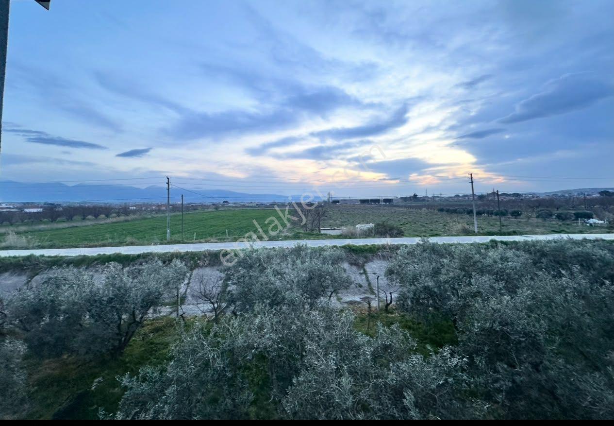 Salihli Dombaylı Mahallesi Satılık 10516 M² İmarlı Tarla