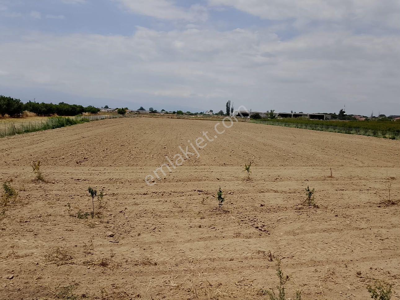 Salihli Dombaylı Mahallesi Satılık 10516 M² İmarlı Tarla - Görsel 10