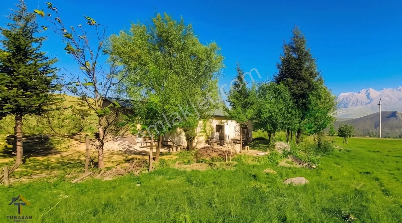 Burç Köyünde Evli Elektrikli Sulu 5238m² Kupon Tarla
