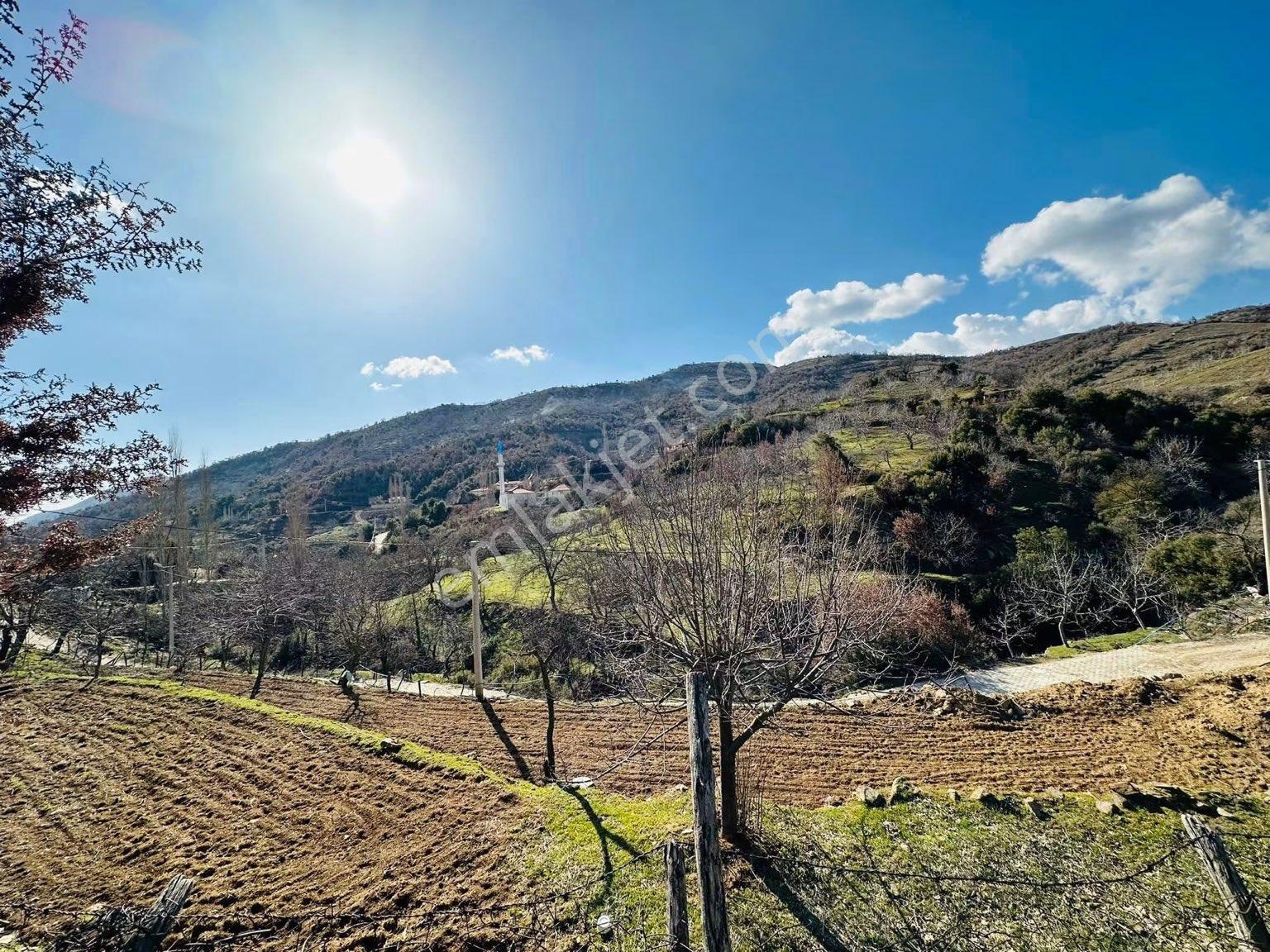 Tire Satılık Köy Evi 3850 M2 İçinde 4 Adet Ev Ve Tarla - Görsel 9