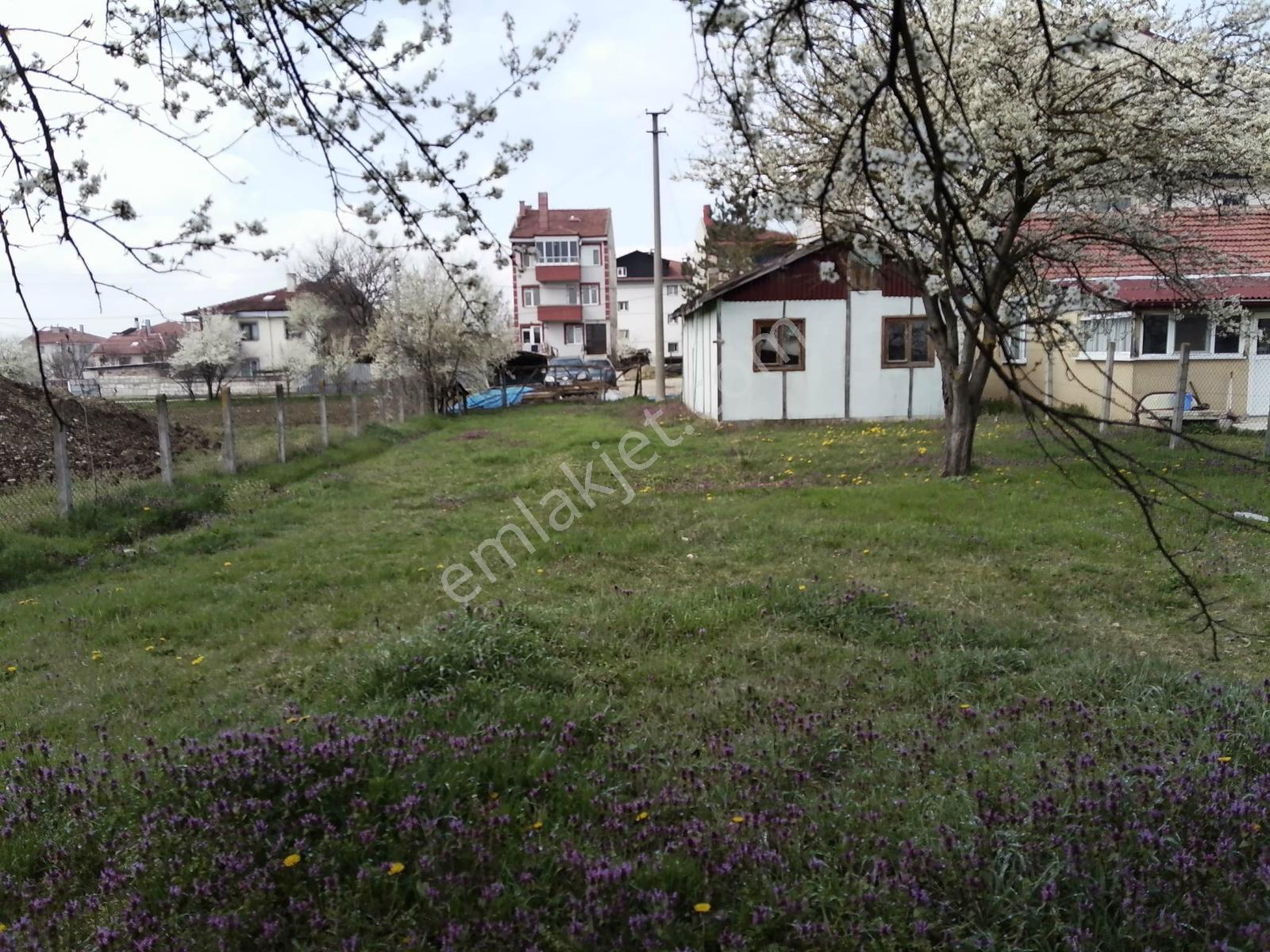 Bolu Merkez Çıkınlar Mahallesi Satılık Arsa - Görsel 8