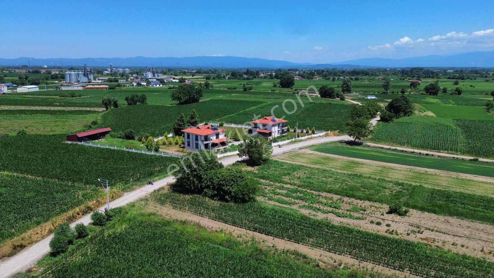 Remax Desıgn Satılık 1.392 M² Konut İmarlı Arsa | %40 İmarlı | - Görsel 3