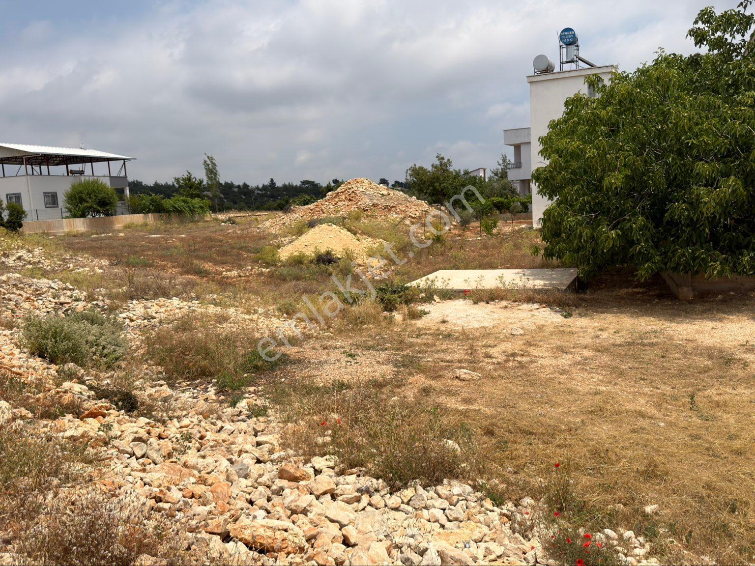 Türe Gayrimenkulden Silifkenin En Yakın Ve En Sosyal Yalasında Satılık İmarlı Parsel - Görsel 14
