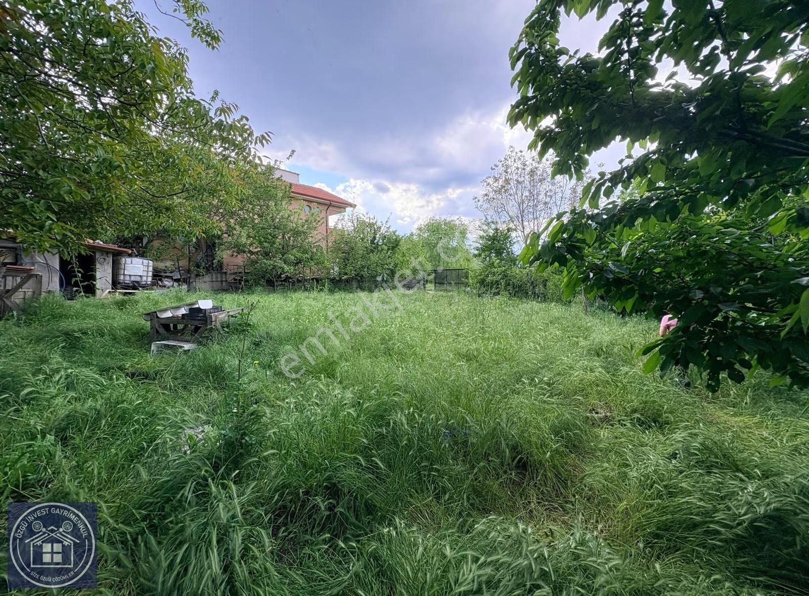 Özgü'den Çamlıca'da Mükemmel Konumda Villalık Arsa - Görsel 12