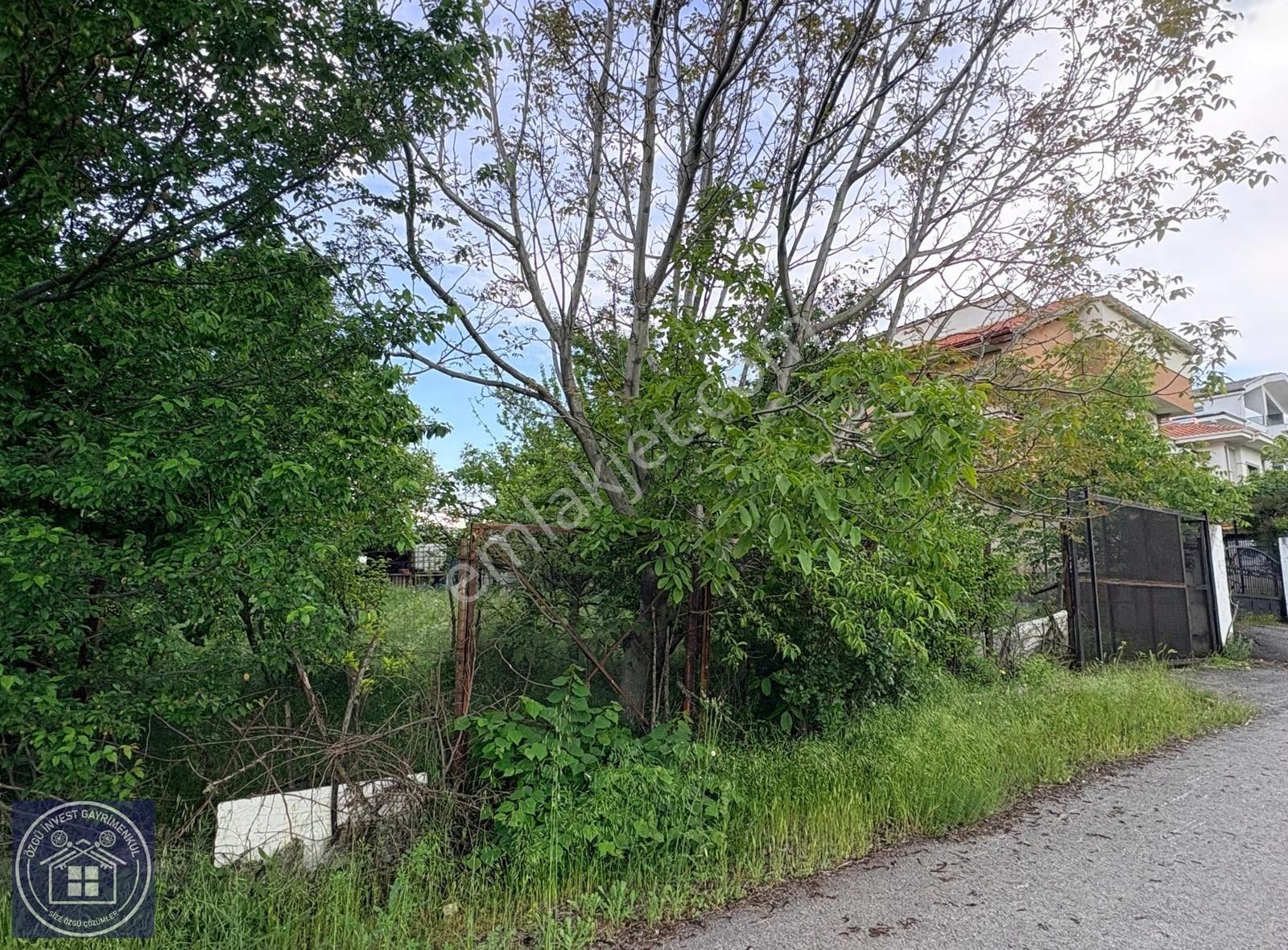 Özgü'den Çamlıca'da Mükemmel Konumda Villalık Arsa - Görsel 4