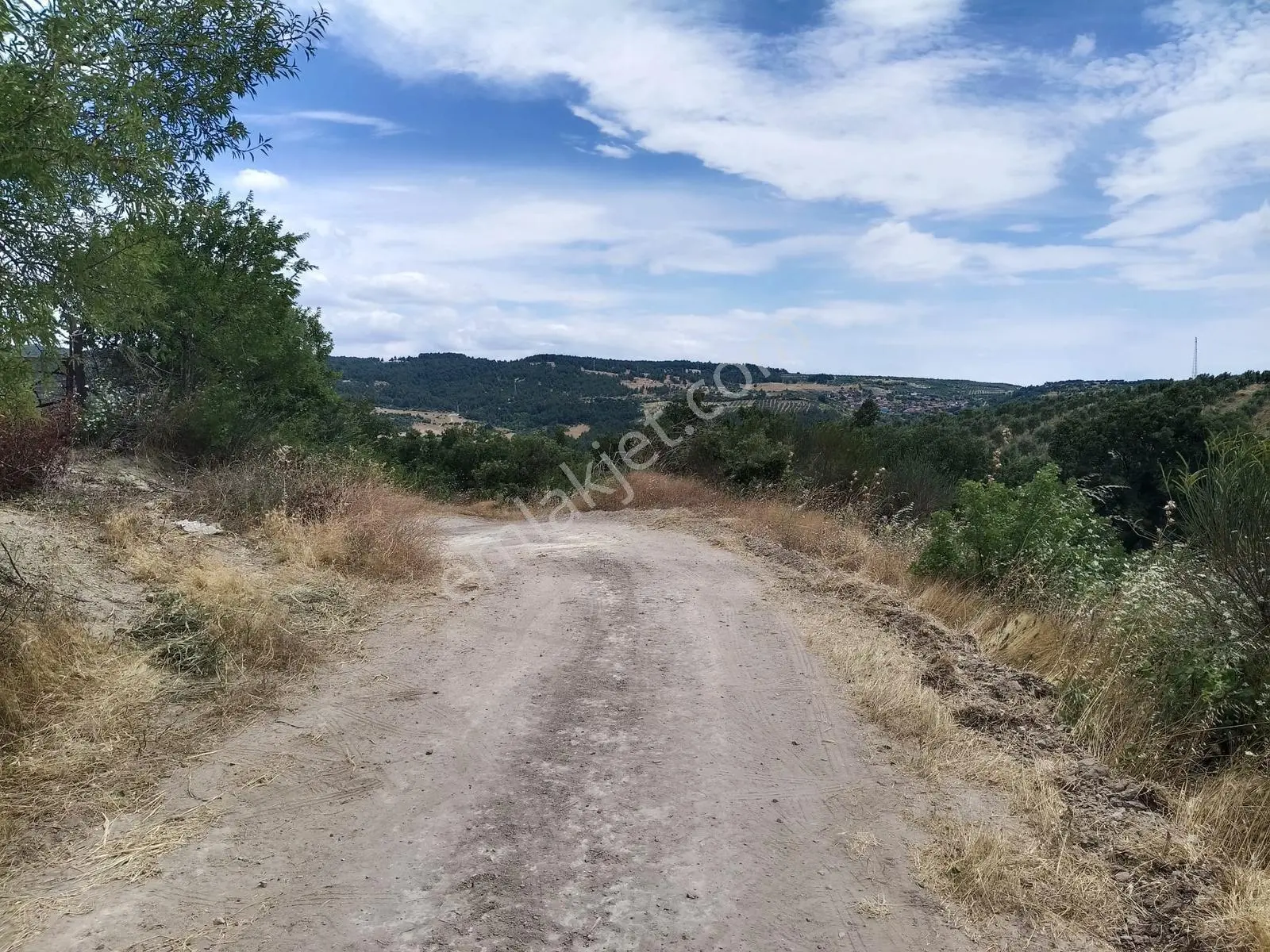 Muratlar'da Yola Cepheli 600 Ağaçlık Zeytinlik - Görsel 31