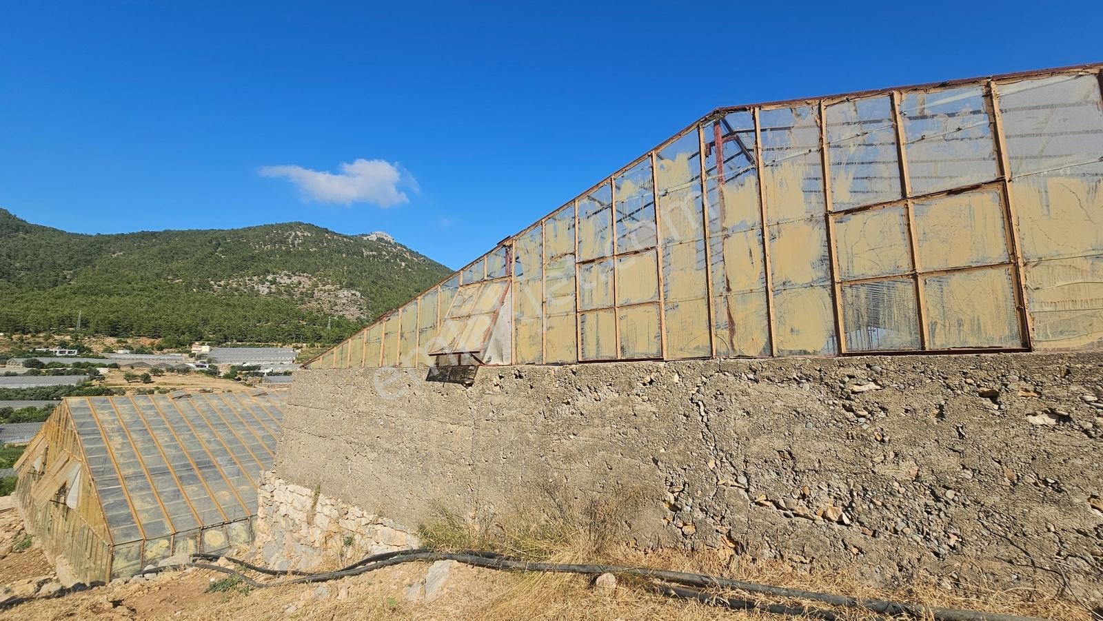 Karakuş Emlaktan 2 Ev ,seralı Ve Üretime Hazır Satılık Arazi - Görsel 2